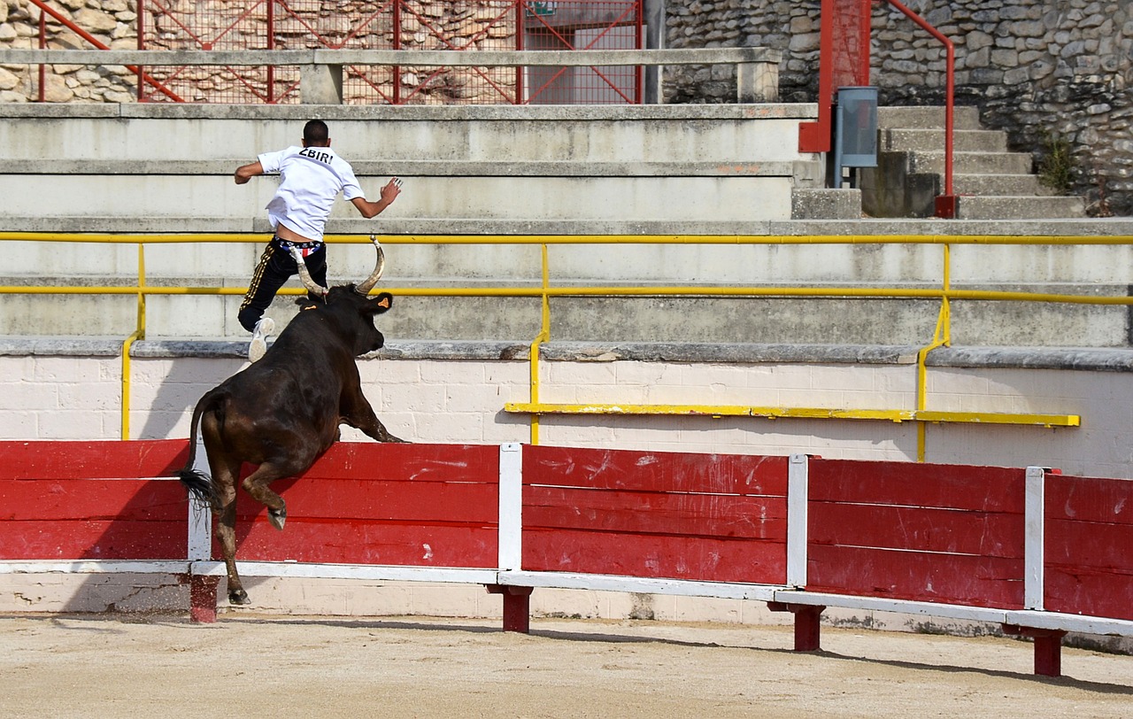 中小型公司
