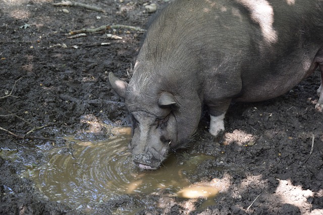 比分输掉了 比分输掉了