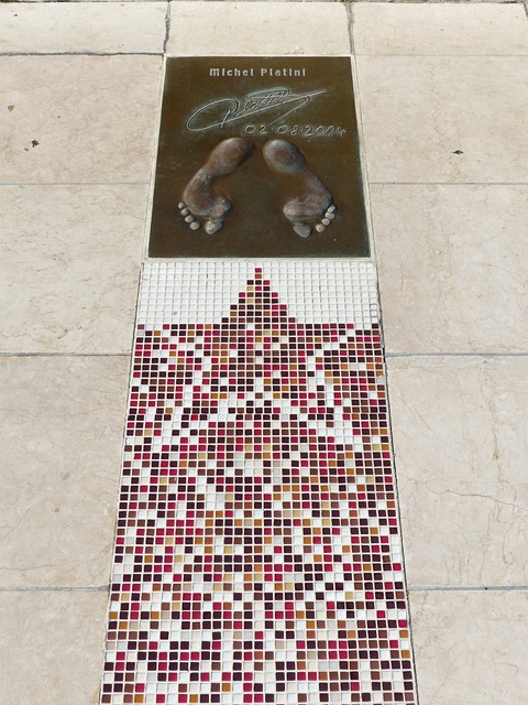 职业生涯前 职业生涯前