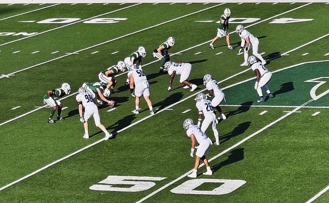 我们看到了 我们看到了