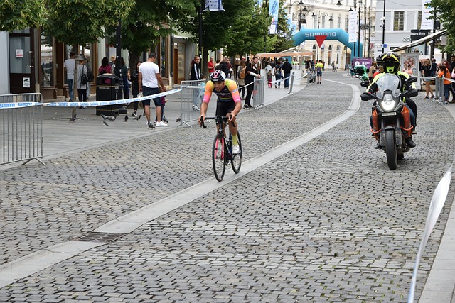 置将正式投 置将正式投