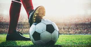 小组的一匹 小组的一匹