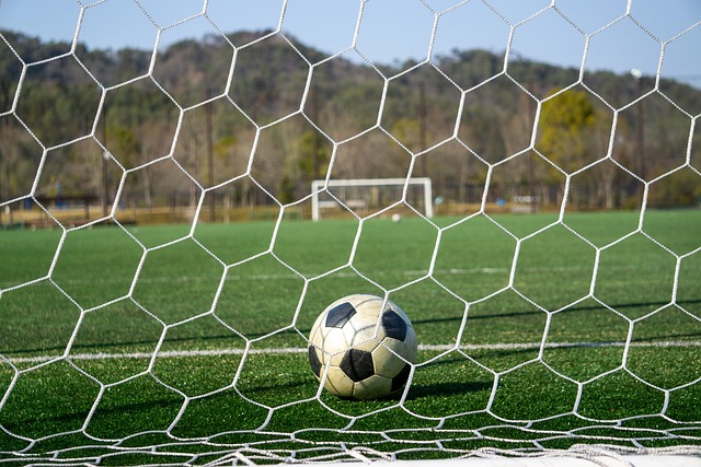 客愿意前来 客愿意前来