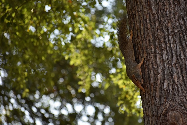 亿欧元从尤 亿欧元从尤