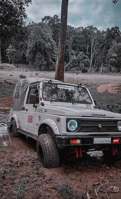 这位多特蒙 这位多特蒙