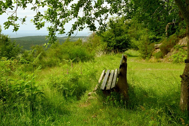 球员的球队 球员的球队